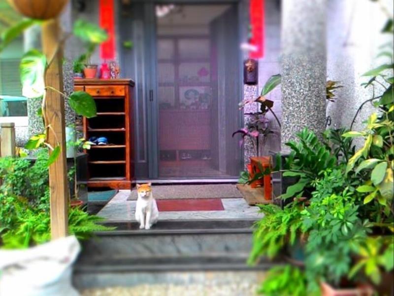 水悅雅築民宿 Shuiyue Guest House Hualien Exterior foto